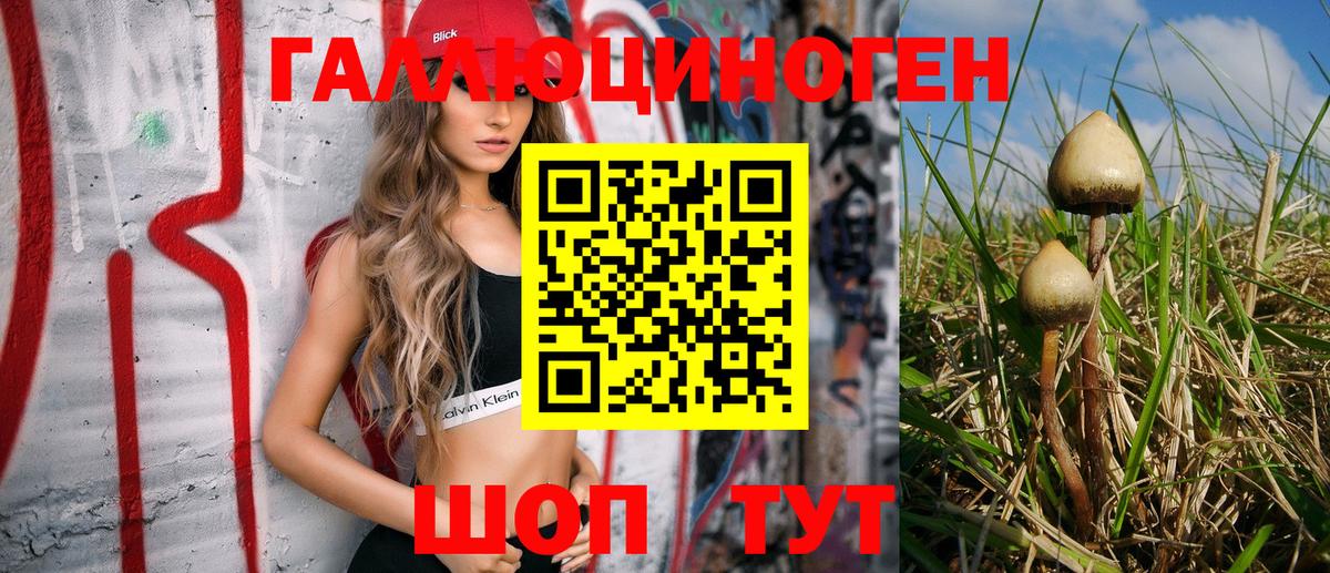 Псилоцибиновые грибы Psilocybe Тюмень